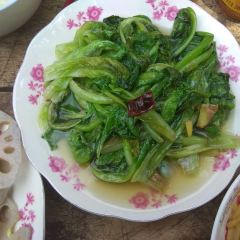 祥和农家 User Photo
