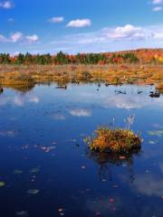 Tobyhanna State Park