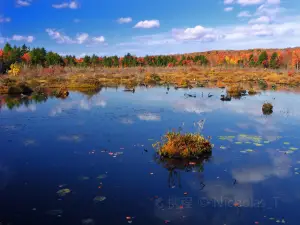 Tobyhanna State Park