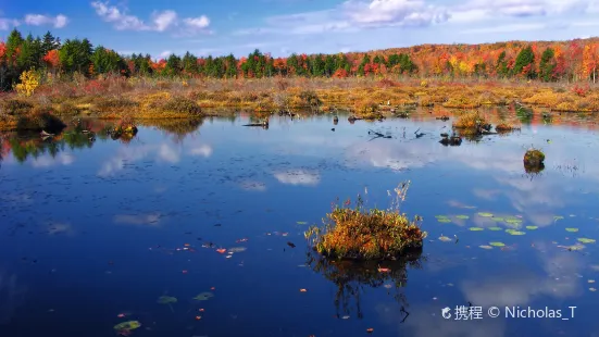 Tobyhanna State Park