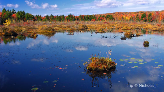 Tobyhanna State Park