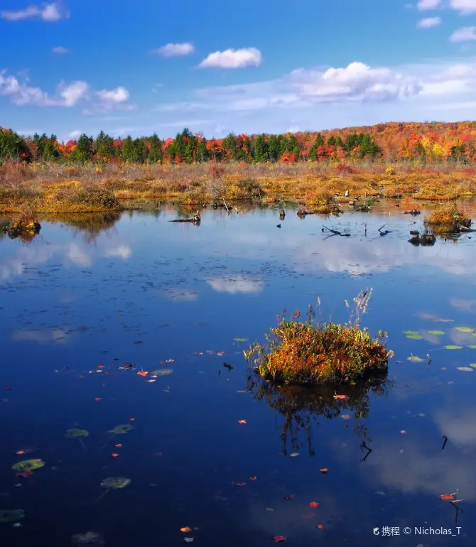Coolbaugh Township