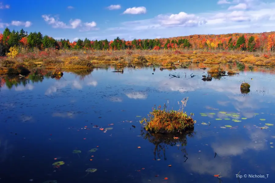 Tobyhanna State Park