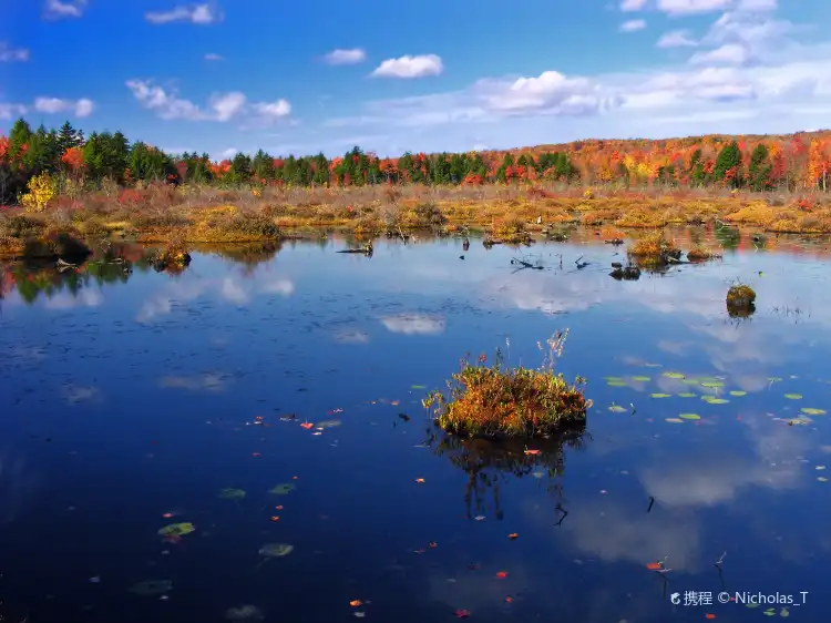 Hotels in Coolbaugh Township