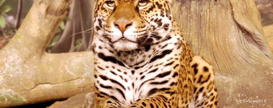 Milwaukee County Zoo