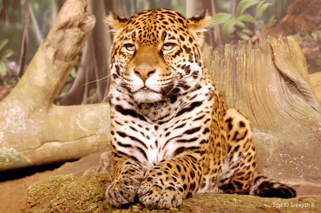 1_Milwaukee County Zoo