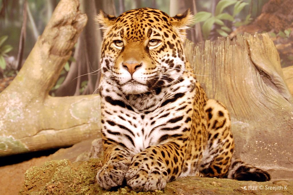 Milwaukee County Zoo
