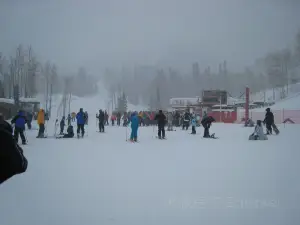 Red Pine Adventures
