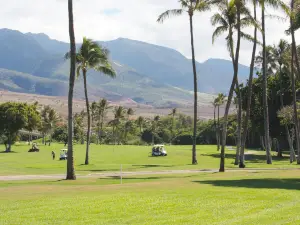 Flamingos Golf