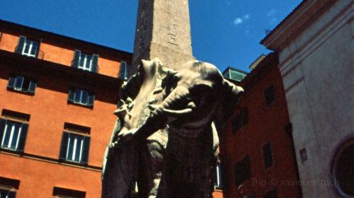 Elephant and Obelisk