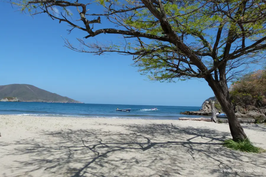 Playa Neguanje