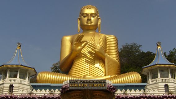 康提日遊