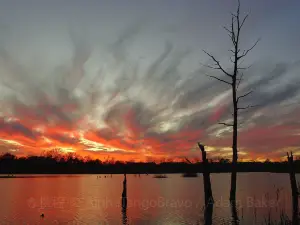 Armand Bayou Nature Center