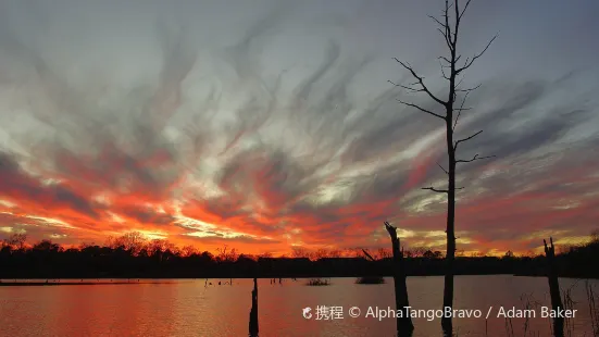 Armand Bayou Nature Center