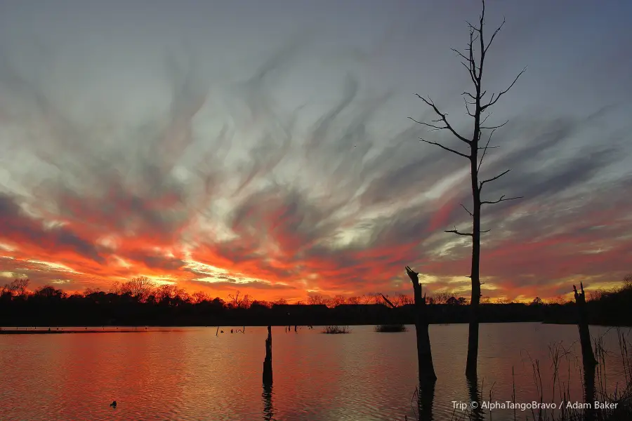 Armand Bayou Nature Center