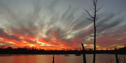 Armand Bayou Nature Center