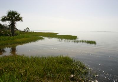 T.H. Stone Memorial St. Joseph Peninsula State Park