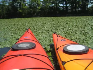 Chestnut Valley Golf Course