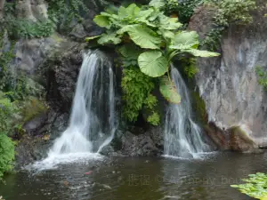 Petite Cascade de Mortain