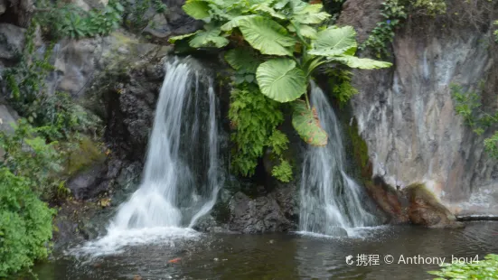 Petite Cascade de Mortain