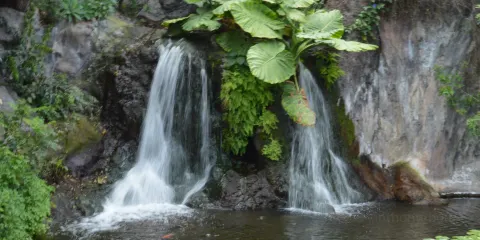 Petite Cascade de Mortain