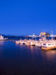 Harbor in Reykjavik