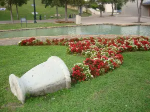 Popular Spring Outings in Bexar County