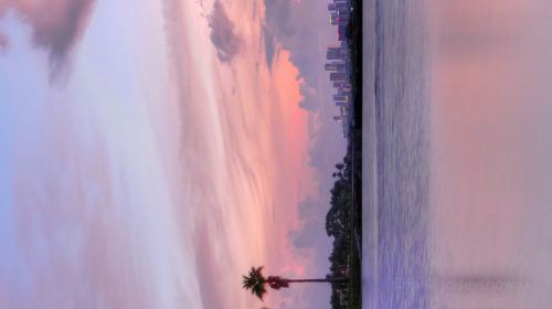 Matheson Hammock Park & Marina