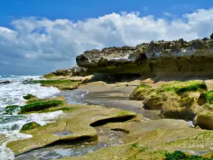 Blowing Rocks Preserve