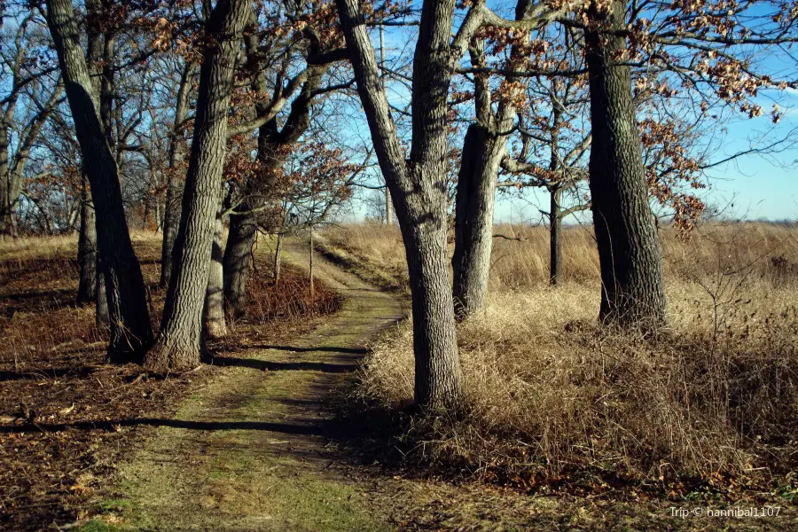 Avon Heath Country Park