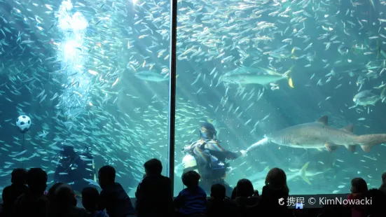 兩大洋水族館