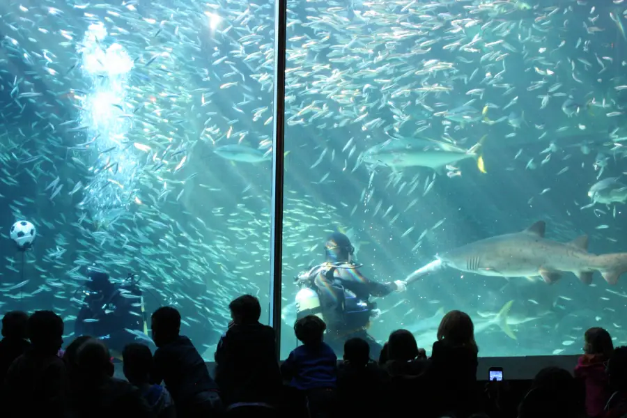 兩大洋水族館