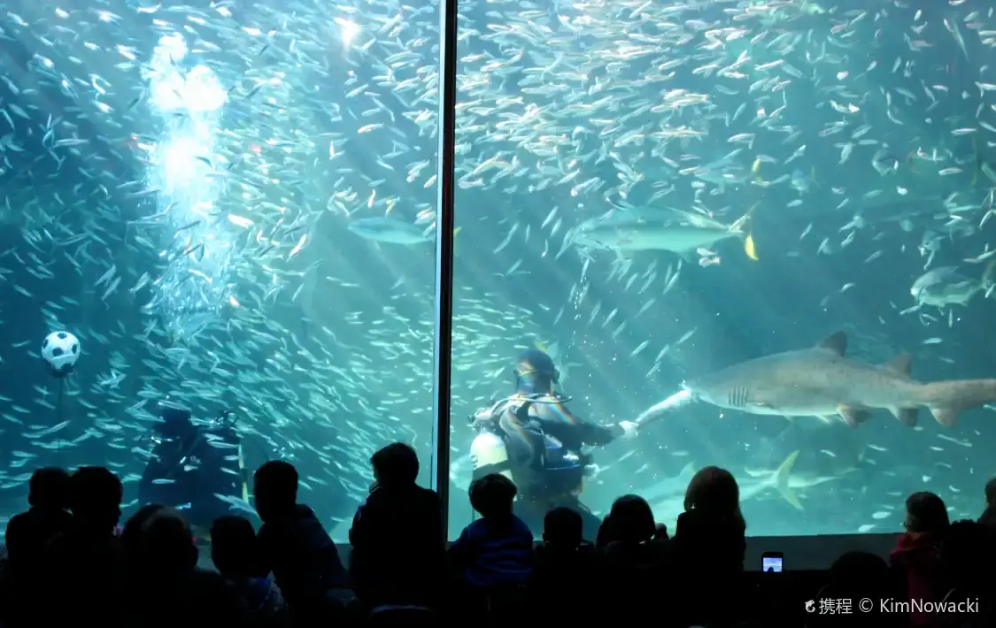 Hôtels à proximité de : Aquarium des Deux Océans
