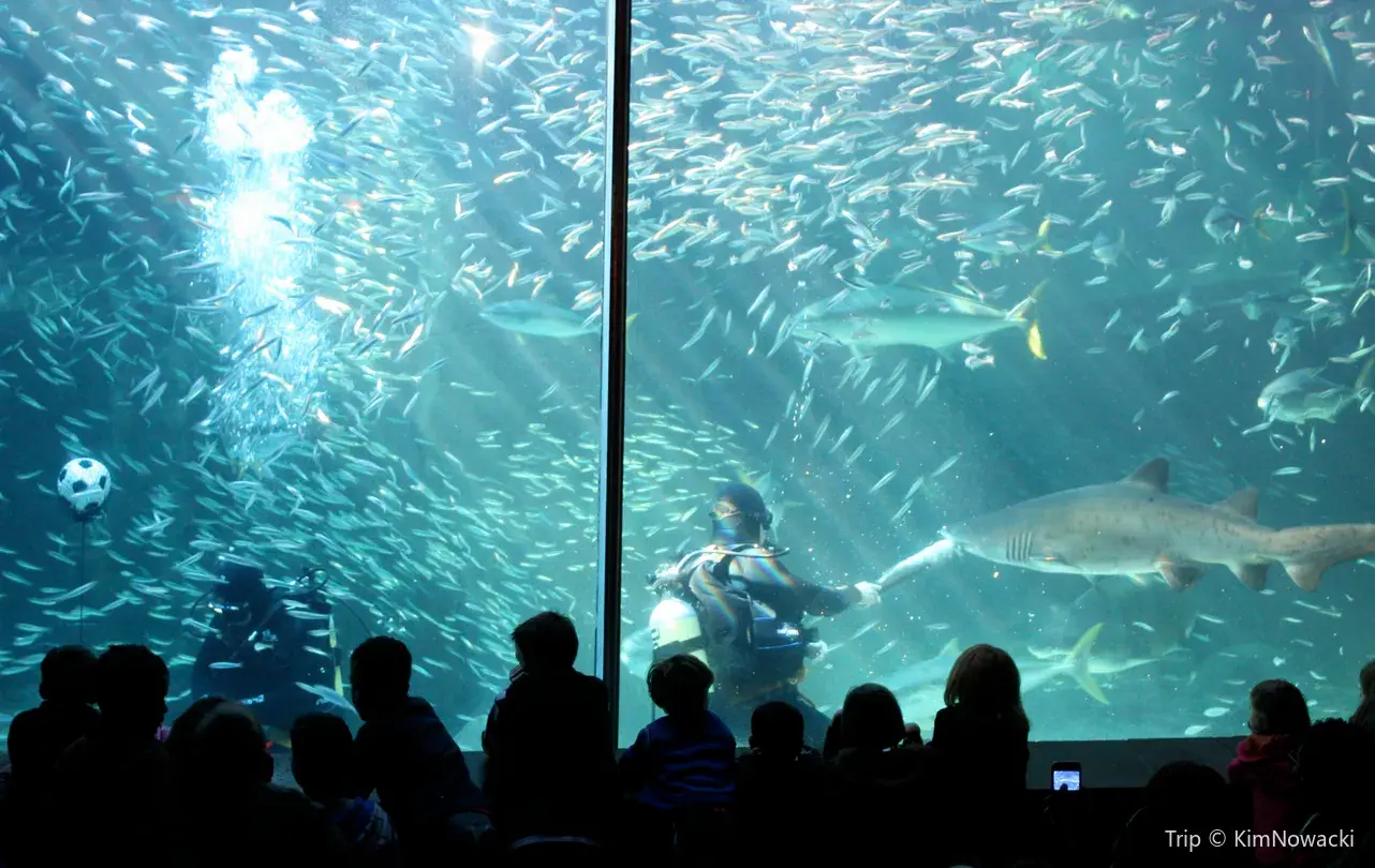 2_Two Oceans Aquarium
