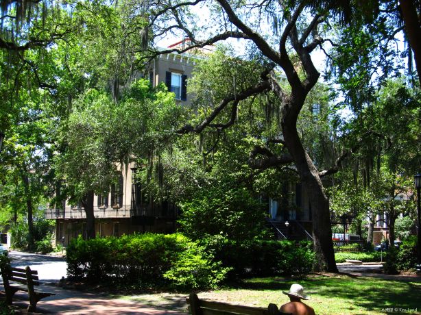 Monterey Square