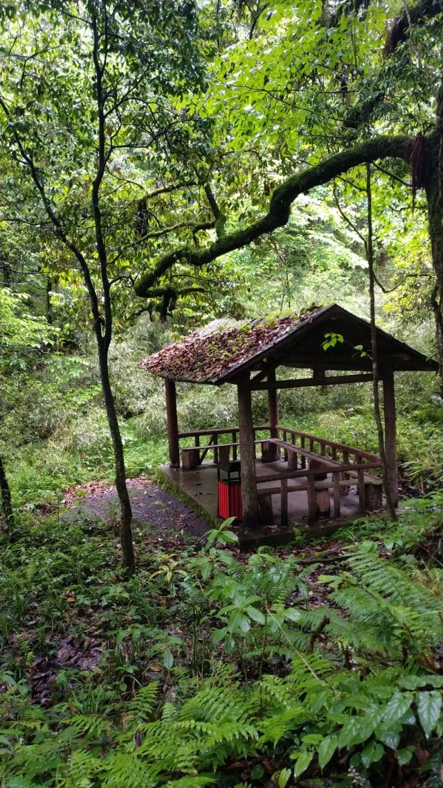 Longcang Valley