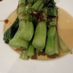 Qinglu User Photo
