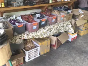 西北边境老韩农家乐