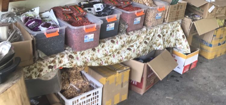 西北边境老韩农家乐