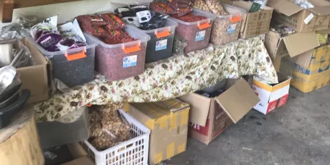 西北邊境老韓農家樂