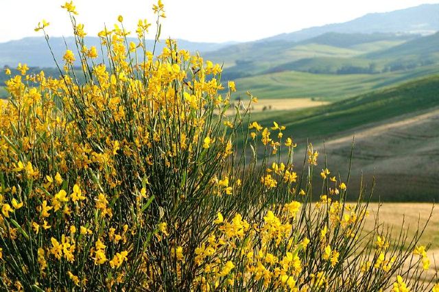 VAL D’ORCIA