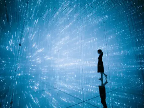 TeamLab Planets TOKYO