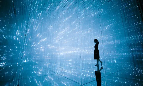 TeamLab Planets TOKYO