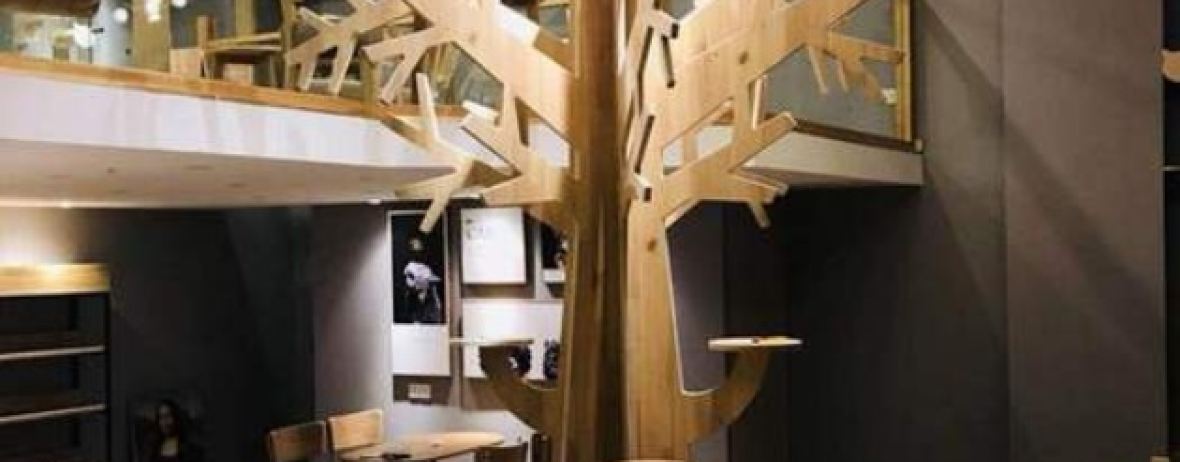 猫乎乎猫咖啡屋(中南城B座店)