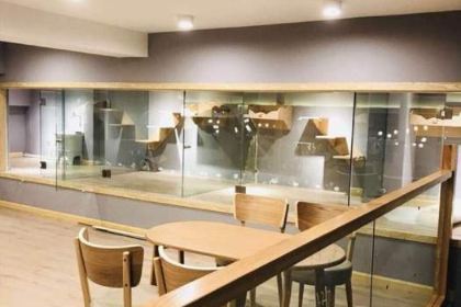 猫乎乎猫咖啡屋(中南城B座店)