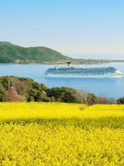 Nokonoshima Island