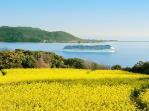 Nokonoshima Island