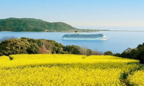 Nokonoshima Island