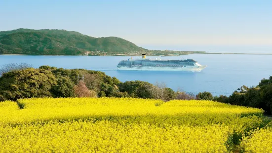 Nokonoshima Island