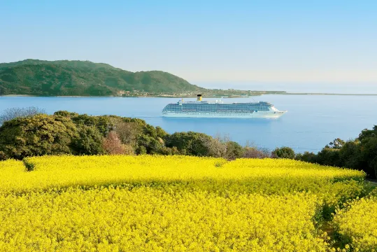 Nokonoshima Island